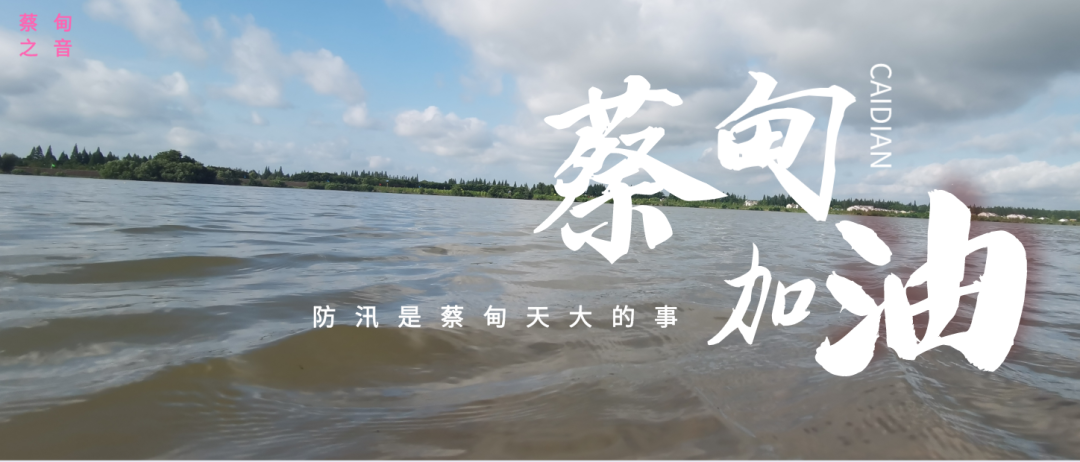 蔡甸區(qū)啟動防汛ⅰ級應(yīng)急響應(yīng)，做好鋪土釘防汛木樁工作