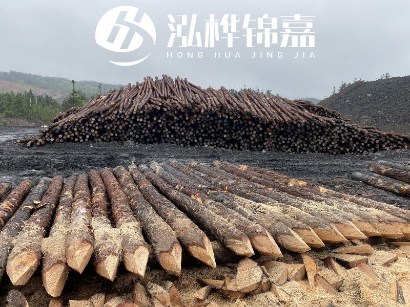 6米長松木樁有哪些作用，多少錢一根？