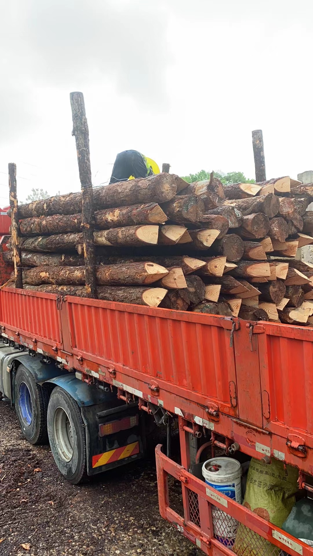 松木樁新手必備！快速掌握規(guī)范和要求