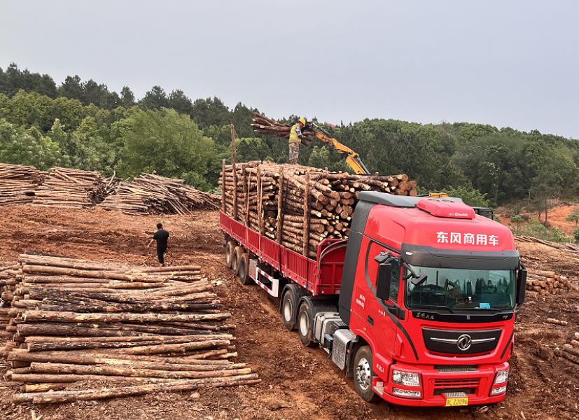 落葉松可以做防腐木嗎，如何制作落葉松防腐木