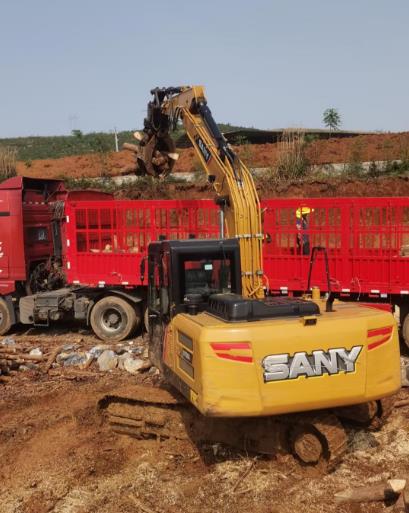 松木原木、松木條，漲勢如虹，現(xiàn)在搶購最劃算(附松木原木供應(yīng)廠家介紹)