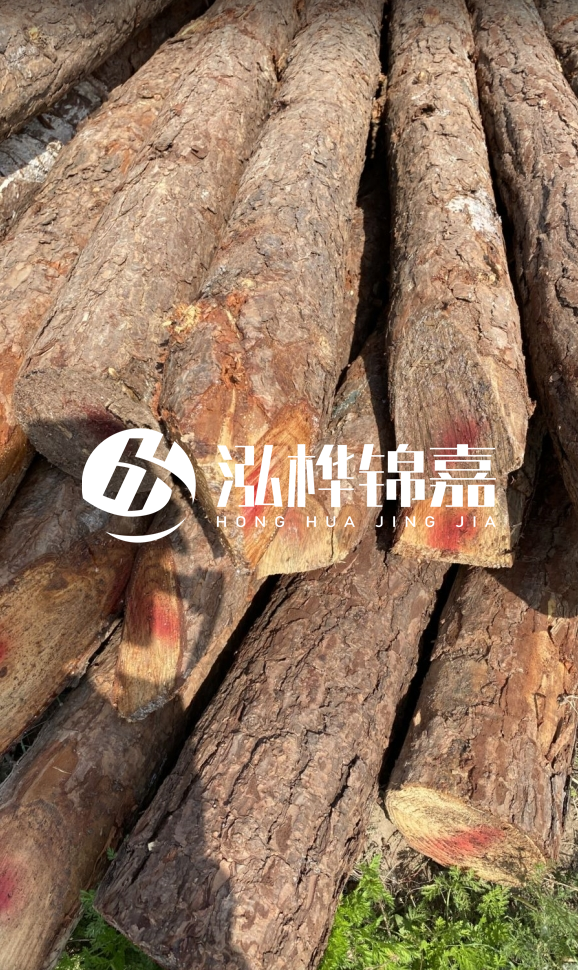 <strong>松木樁和杉木樁的用途區(qū)別？哪個更適合打樁用？</strong>