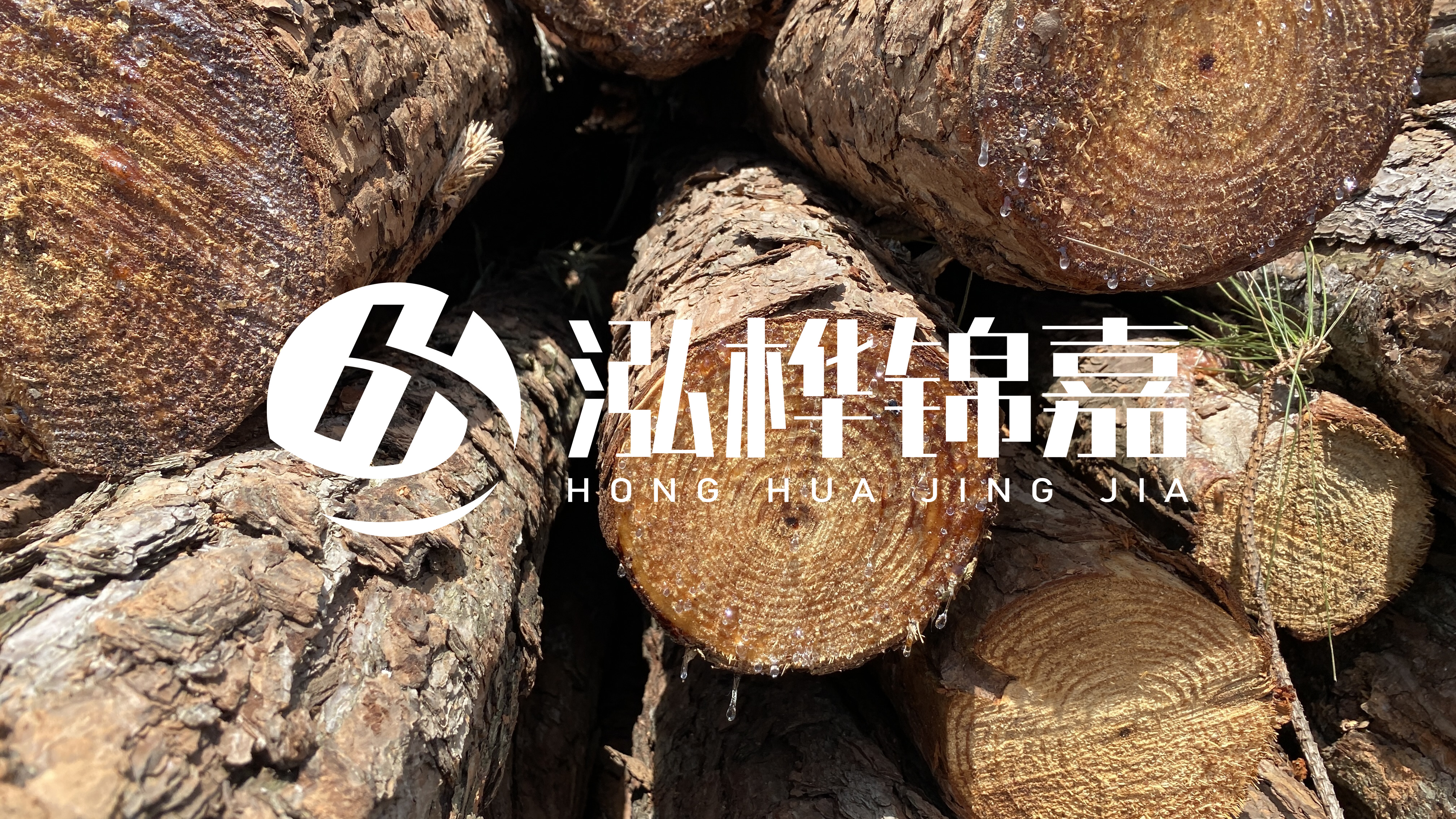 為什么要用松木樁治理河道？