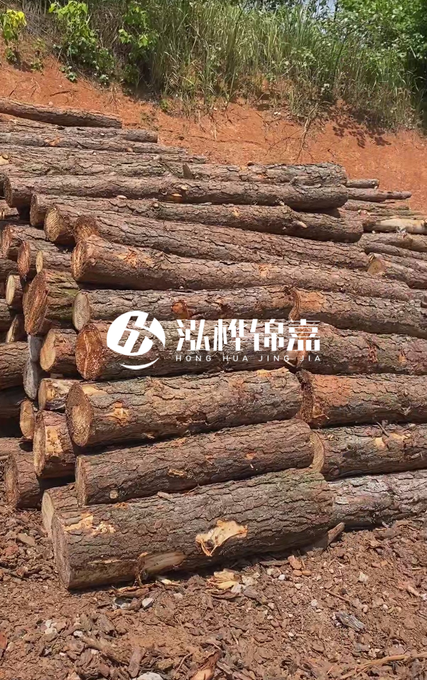 七臺(tái)河河道清淤專業(yè)施工-河道清淤的淤泥多久能干？