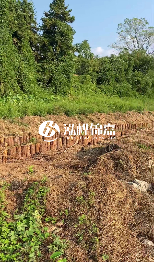 許昌河道清淤專業(yè)施工-河道污水治理要多長(zhǎng)時(shí)間？