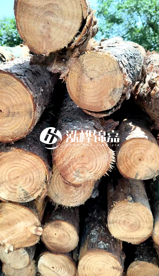 周口挖機(jī)打木樁專業(yè)施工-杉木樁施工打樁怎么打？