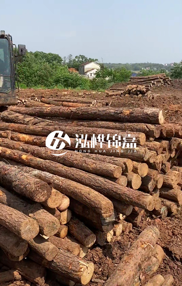 荊州挖機(jī)打木樁專業(yè)施工-河道打樁木被水浸泡后會(huì)不會(huì)變形嚴(yán)重？