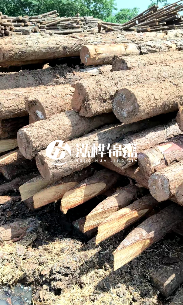 荊門挖機(jī)打木樁專業(yè)施工-河道打木樁前是否要清理河道底部雜物？