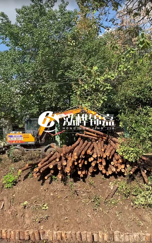 隨州松木樁源頭廠家-杉木樁打樁木的價(jià)格比松木樁貴嗎？