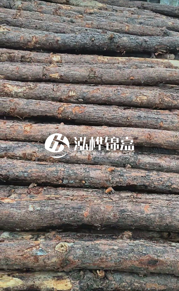 陽江松木樁源頭廠家-哪一種打樁木最便宜？