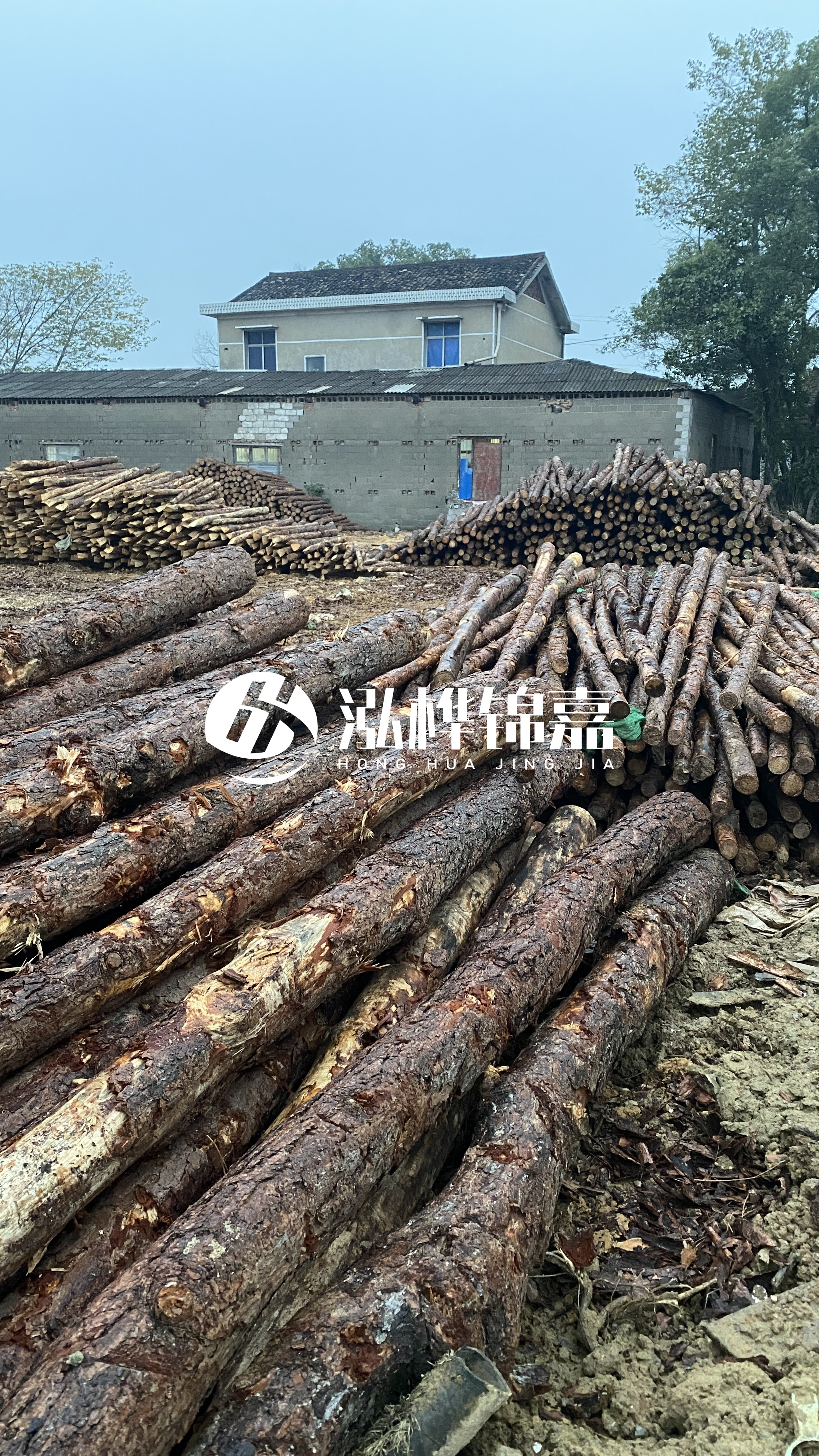 臨滄松木樁源頭廠家-油松打樁木的儲存條件有哪些要求？