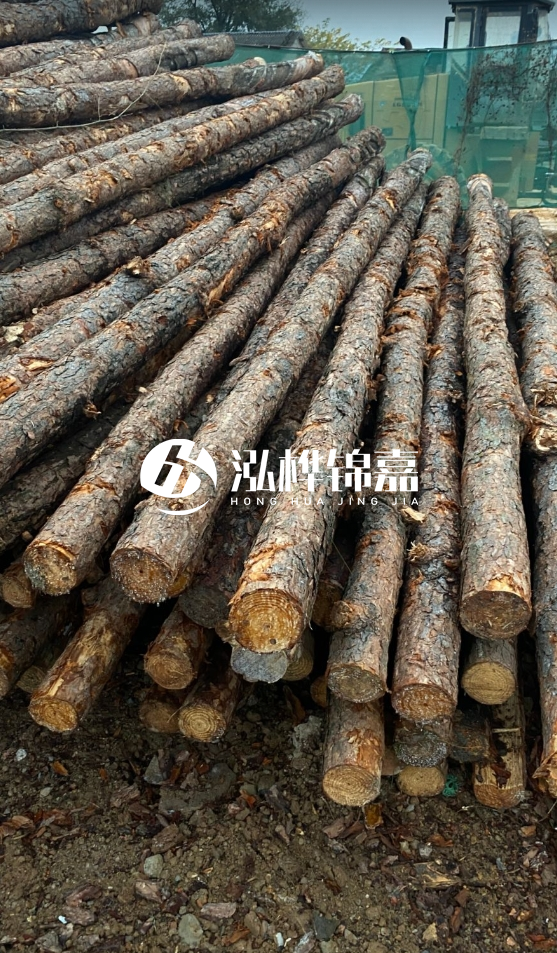 徐州松木樁批發(fā)源頭廠家-松木樁需要做防腐嗎？