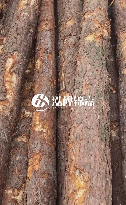 浙江地區(qū)大量供應(yīng)松木樁，源頭廠家在哪里？