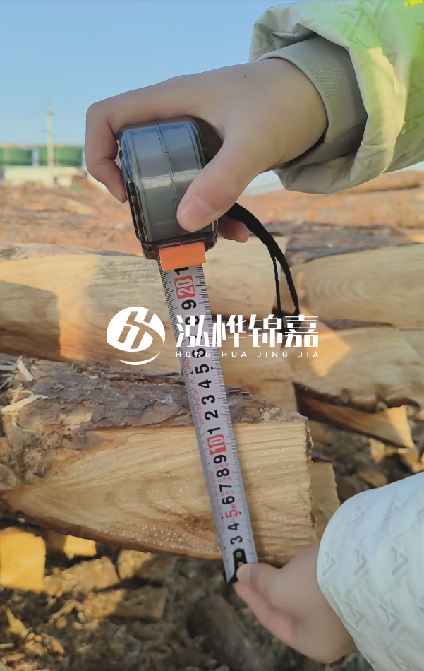 打木樁用松木樁好還是杉木樁好？全面對(duì)比解析！