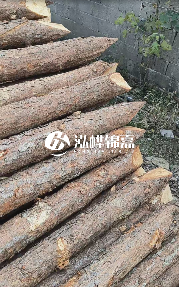 松木樁哪里能大量供應(yīng)？4米20公分松木樁價(jià)格是多少？