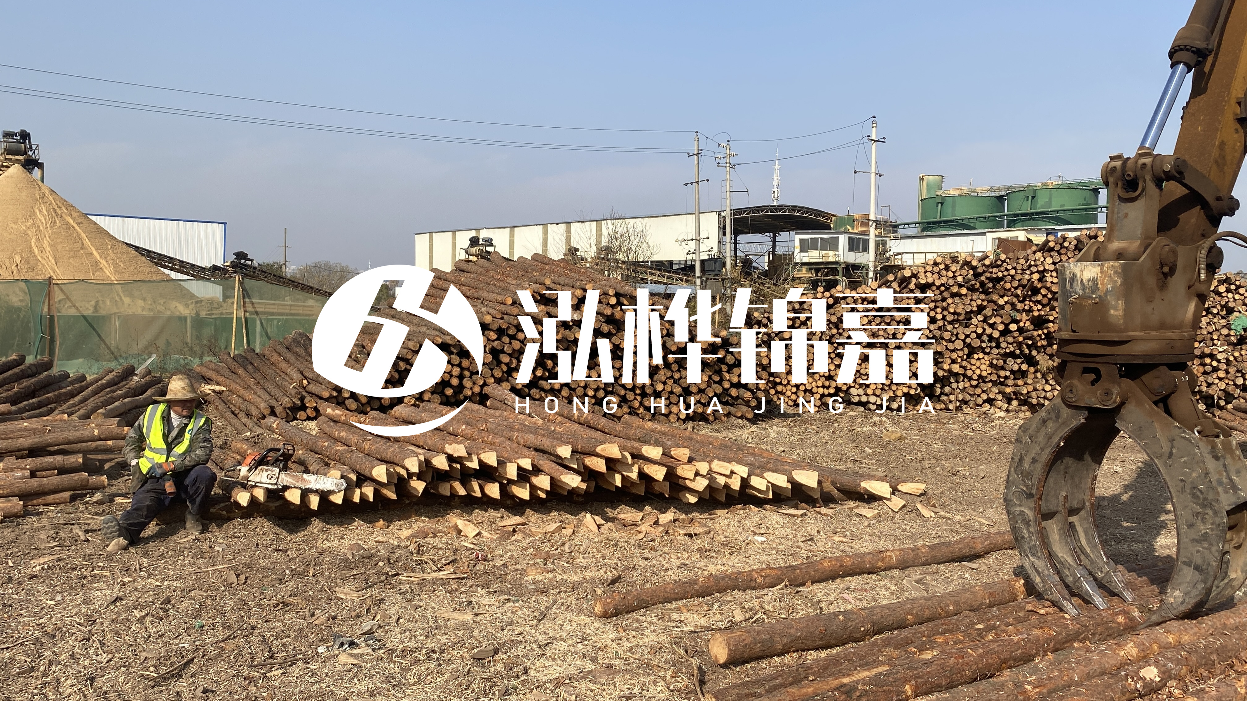 河道木材松木樁怎么選？松木樁源頭廠家告訴你！