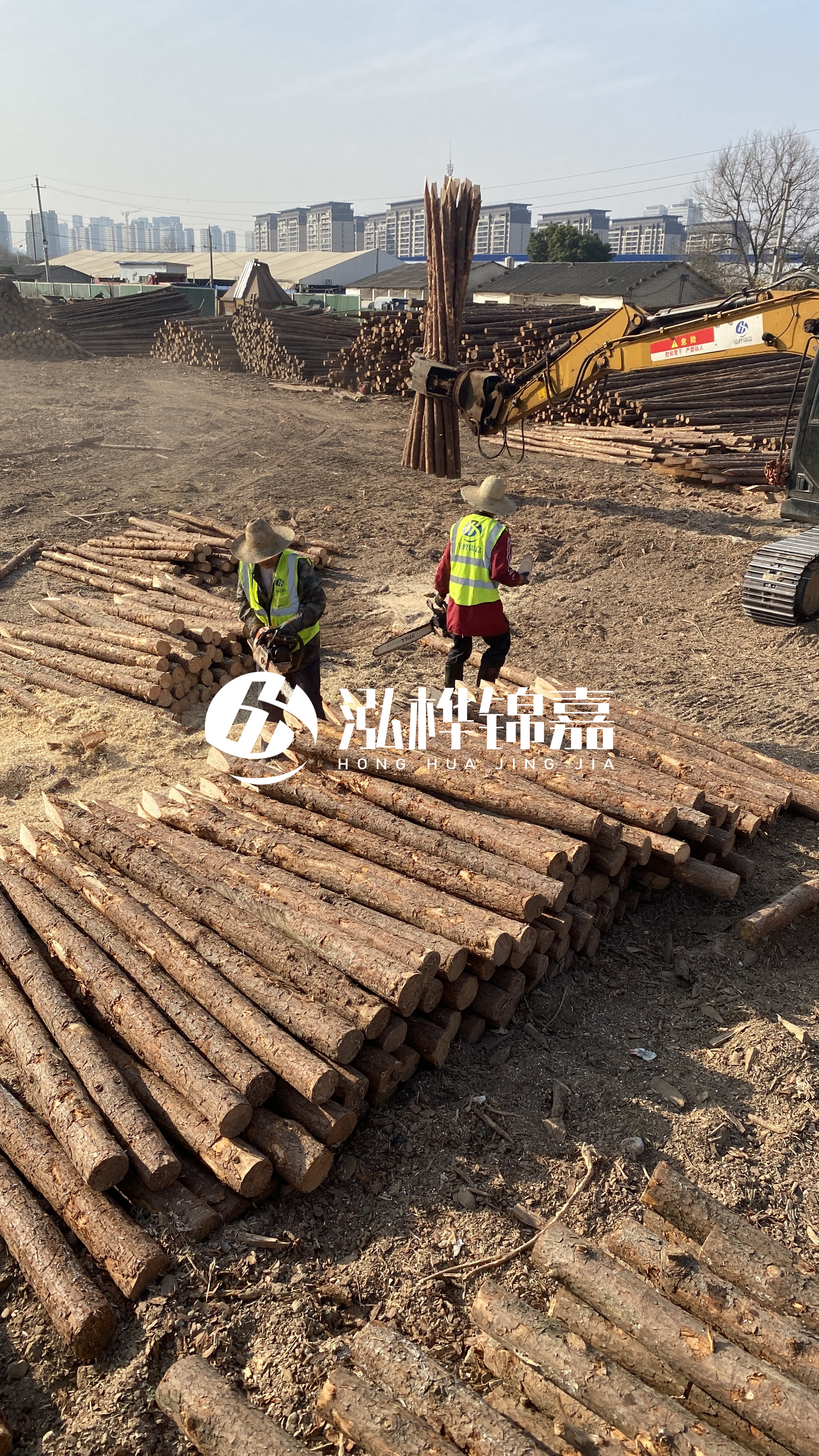 松木樁梢徑怎么測(cè)量？實(shí)用教程！一文教會(huì)你！