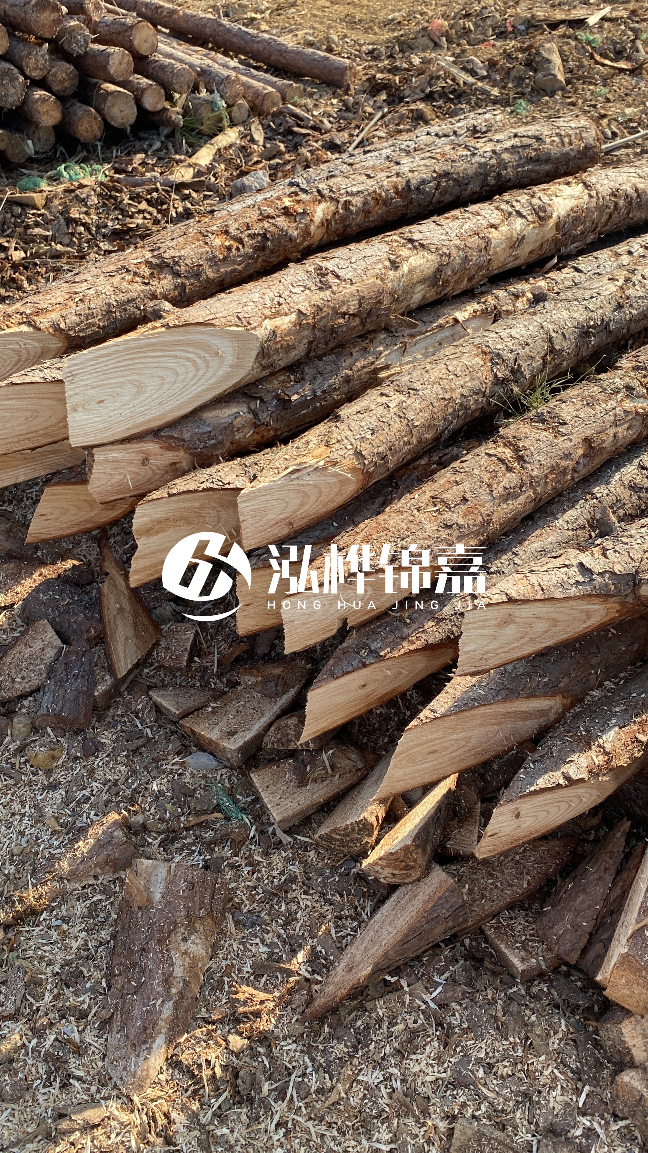 4米小頭直徑10-12公分松木樁價(jià)格揭秘：究竟多少錢一根？快來(lái)了解！