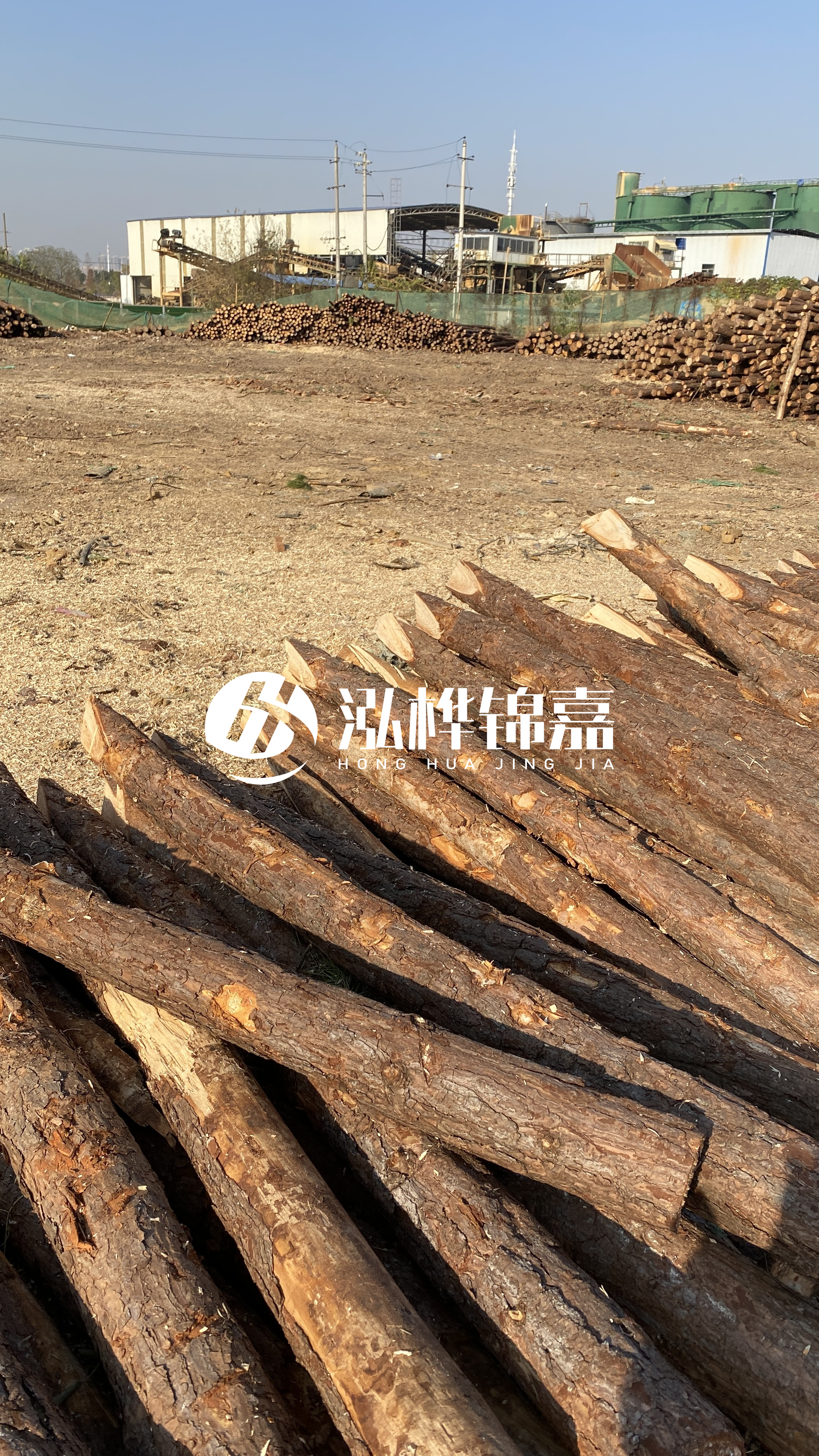 松木樁施工要找有資質(zhì)的嗎？松木樁施工背后門道多，看完就懂了！