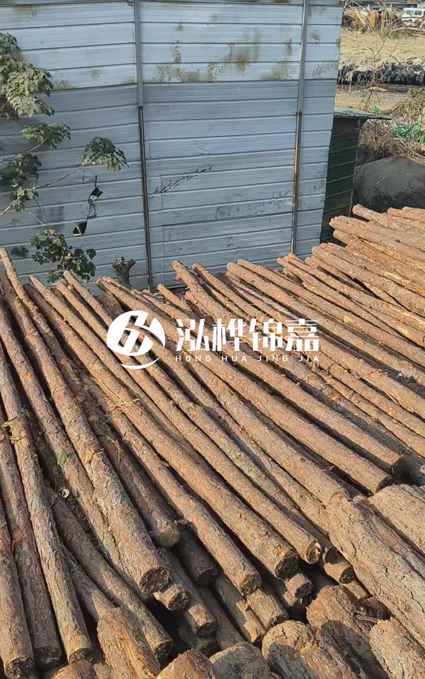 4米松木樁一根有多重？看完你就心中有數(shù)啦！