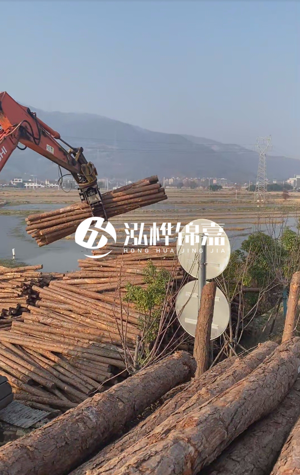 松木樁是否需要削皮呢？松木樁為什么不會(huì)爛掉呢？