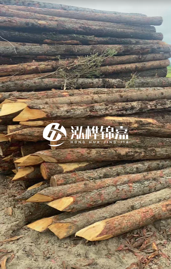 松木樁4米長尾徑14厘米價格是多少？一立方米有多少根？