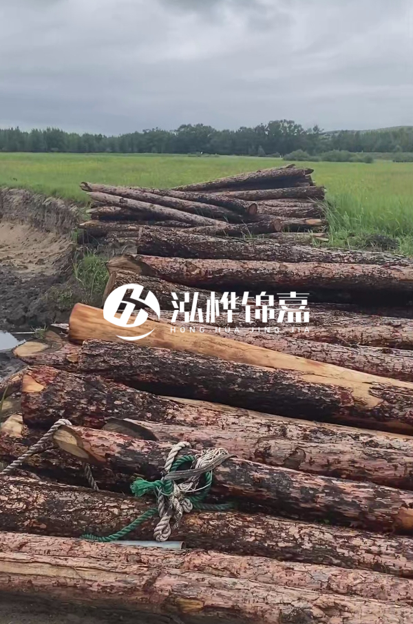 4米松木樁多少錢一根？松木樁預(yù)算單價怎么算的？