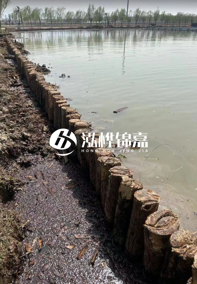 長沙松木樁批發(fā)市場在哪？廠家地址是多少？