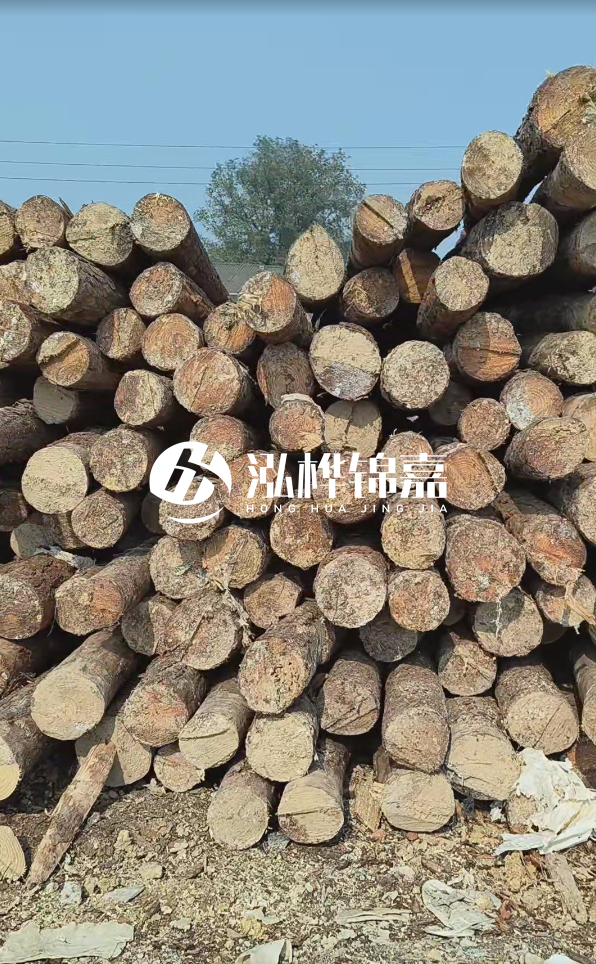 打松木樁多少錢一米 - 4 米松木樁打樁大概多少錢一根？