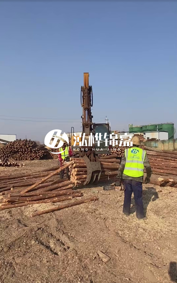 2025松木樁價(jià)格行情網(wǎng) | 實(shí)時報(bào)價(jià)/廠家直供/工程采購指南（附價(jià)格走勢圖）