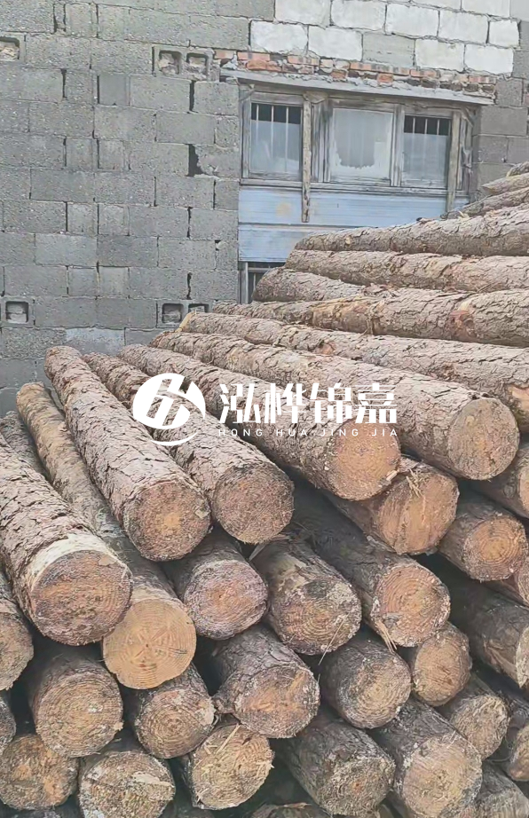 3米松木樁多少錢一根？14公分松木樁價格是多少？