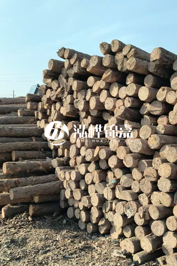 國內(nèi)哪里的松木樁便宜又好？五大高性價(jià)比產(chǎn)地推薦