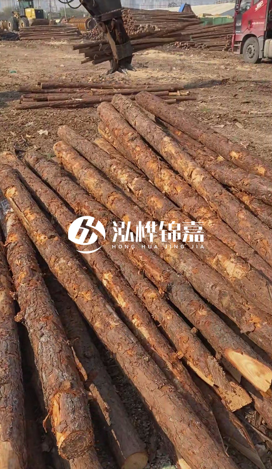 4.5米松木樁直徑14一根多少錢？5米14厘米多少錢？