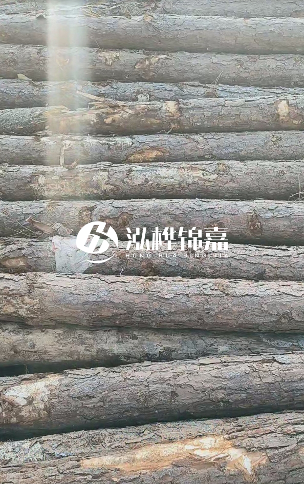 松木樁5米100mm一根多少錢-5米140mm多少錢？