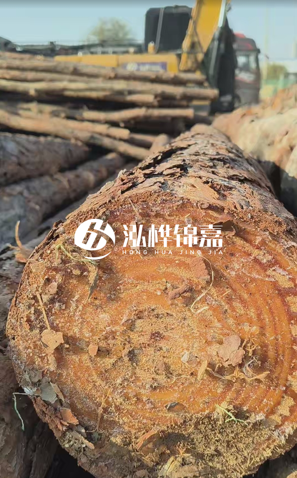 杉木樁價(jià)格多少錢一方-3米直徑14公分杉木樁價(jià)格？