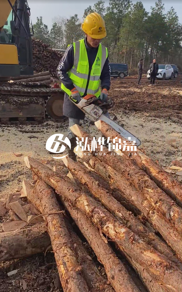 松木樁樁長(zhǎng)1.5米稍徑12多少錢一根？樁長(zhǎng)1.5米稍徑12大頭多少？