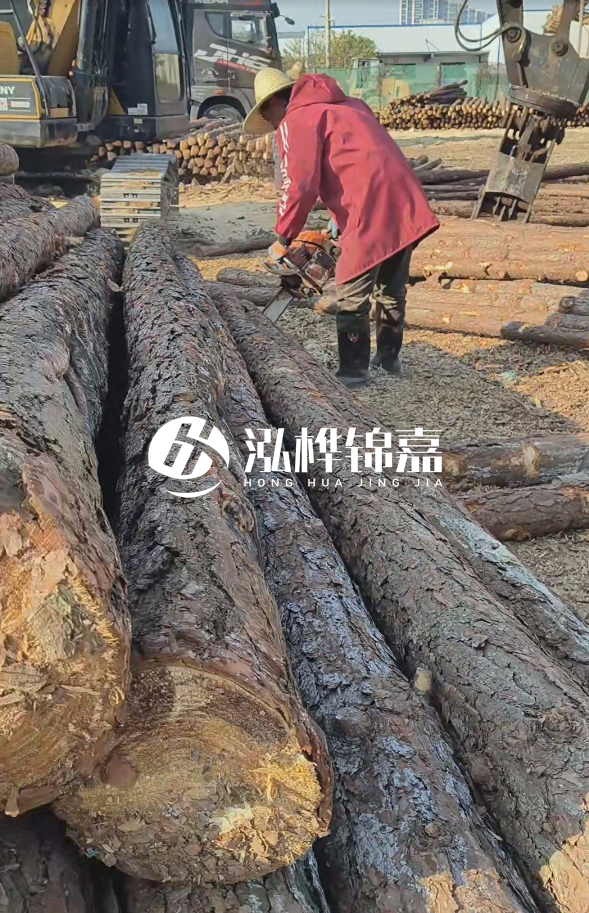 長(zhǎng)沙打樁木批發(fā)廠家在哪里？聯(lián)系方式是什么？