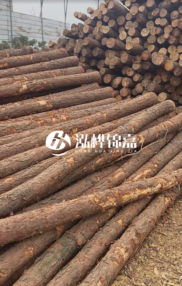 山西河道木樁護岸價格多少錢一米-每米河道打樁要花多少錢？