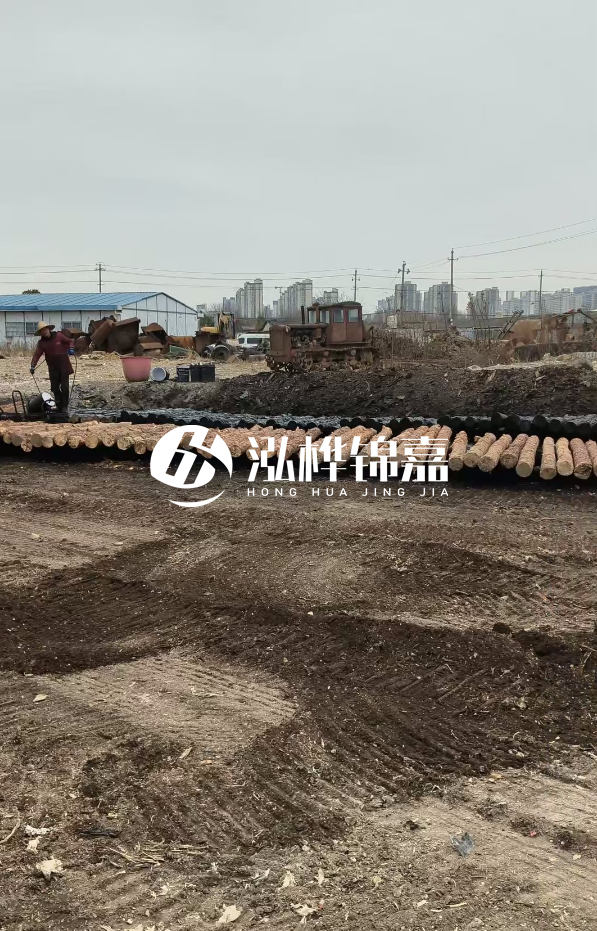 安徽打樁木材哪里買最好-5米直徑12杉木樁送到安徽多少錢？