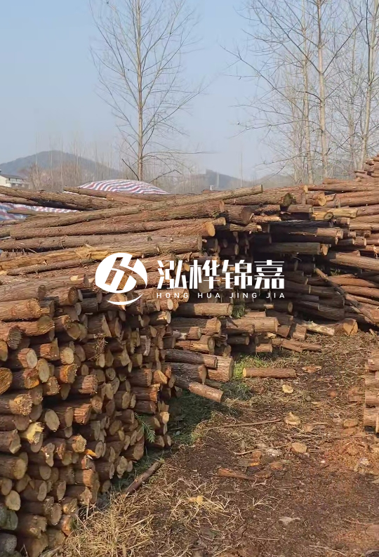 打杉木樁多少錢一根-一天能打多少根？