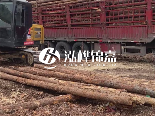 江西2米10-12松木樁多少錢一根？10-15公分價格又是多少？