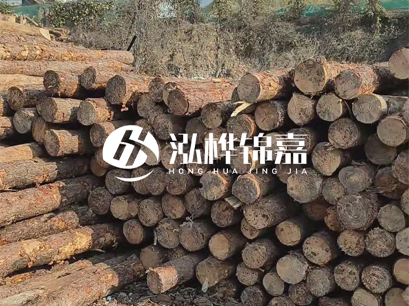 落葉松木材的主要產(chǎn)地在哪里？為什么比其他松木更耐腐蝕？