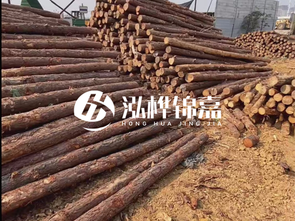 河道木樁施工遇到淤泥怎么辦？打多深才能防沖刷？