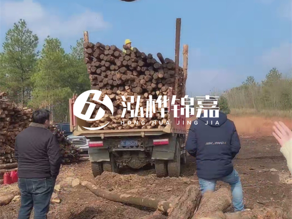 防腐木樁價格比普通木樁貴多少？防腐木樁有哪些處理方式？