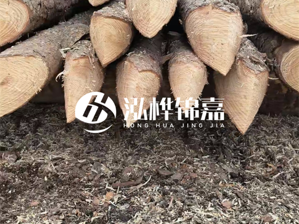 打樁木樁與鋼樁相比有哪些優(yōu)缺點？如何進行后期維護？