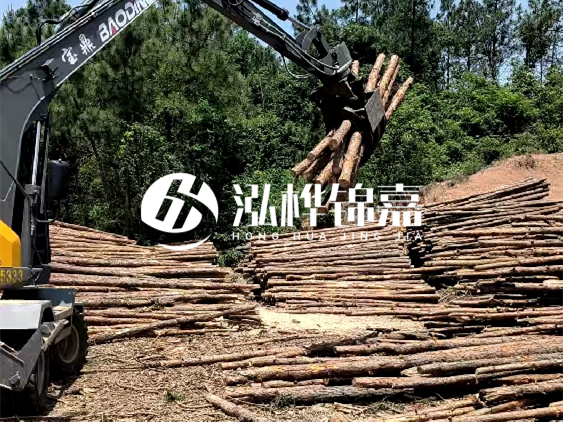 3米松木樁小頭10公分多少錢一根？大頭10公分又是多少錢？