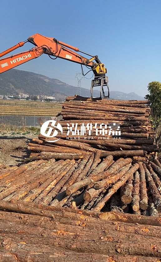 帶皮松木樁的防腐效果如何？和不帶皮松木樁價格差異有多大？