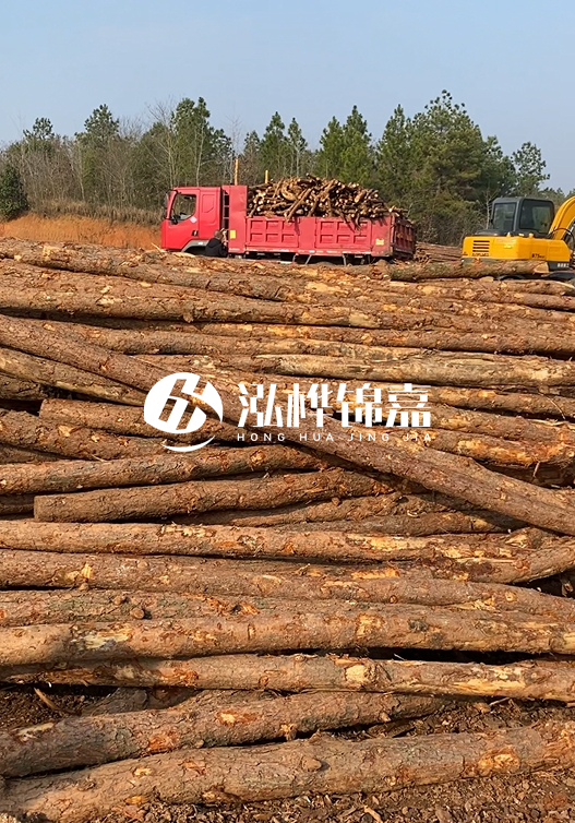 8米小頭11-13CM的松木樁價格是多少？打樁施工怎么算？