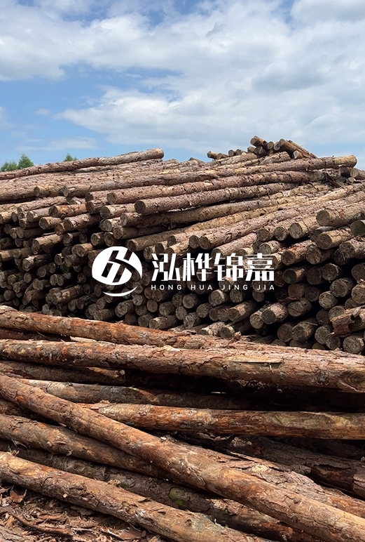 福建松木樁源頭廠家泓樺錦嘉-4.5米松木樁大頭15CM多少錢？
