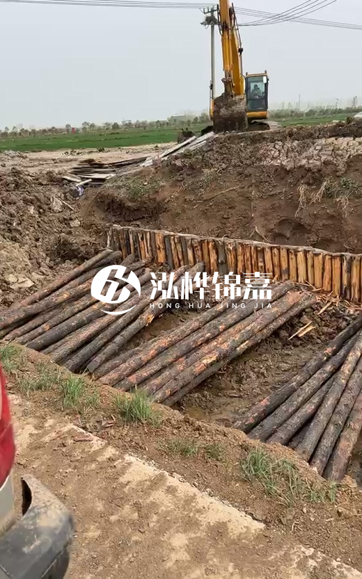 4米直徑12-13油松批發(fā)價最低多少？報價含稅含運嗎？